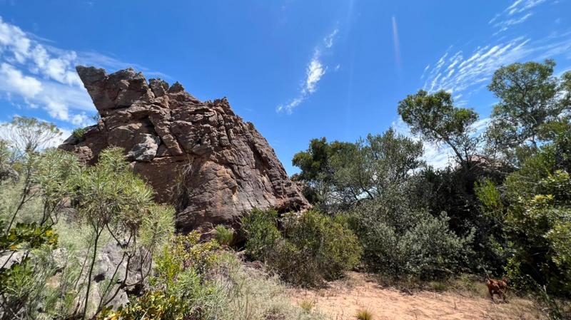 0 Bedroom Property for Sale in Piketberg Rural Western Cape